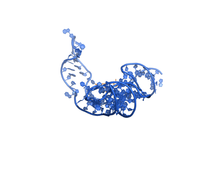 2HOO TPP riboswitch superposed apo/holo
