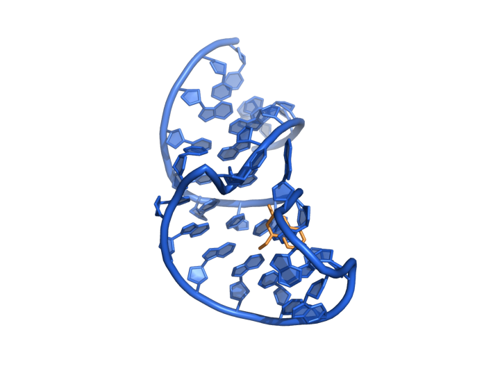 2L8H viral RNA superposed apo/holo