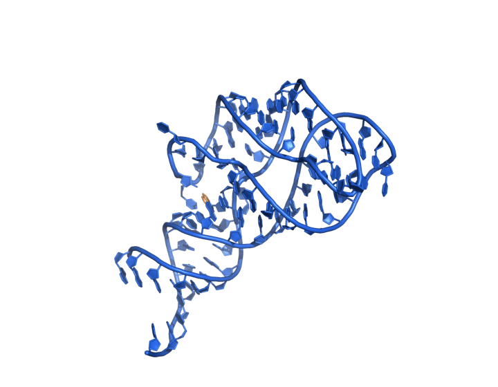 5SWE adenine riboswitch, apo end of the morph